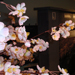 【2009年】Produce